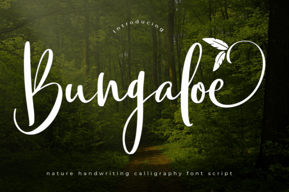 Bungaloe: A Handwritten Font Designed for Campaign Charm