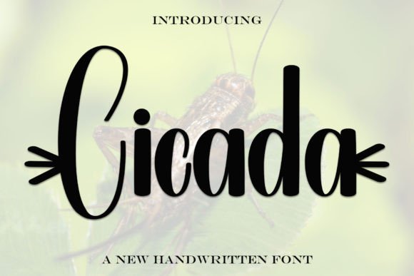Cicada: A Handwritten Font Designed for Modern Campaigns