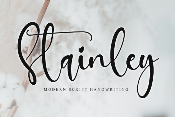 Stainley: A Dainty Script Font for Elegant Branding