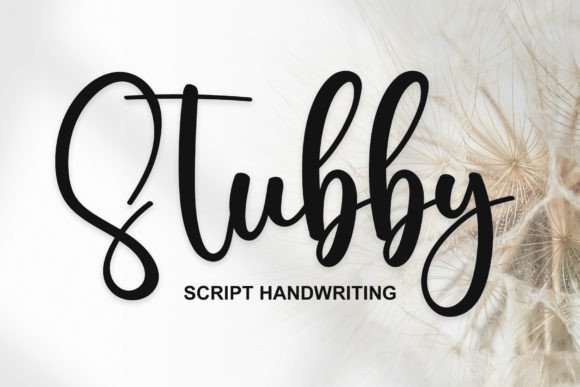 Stubby: The Elegant Handwritten Typeface for Modern Branding